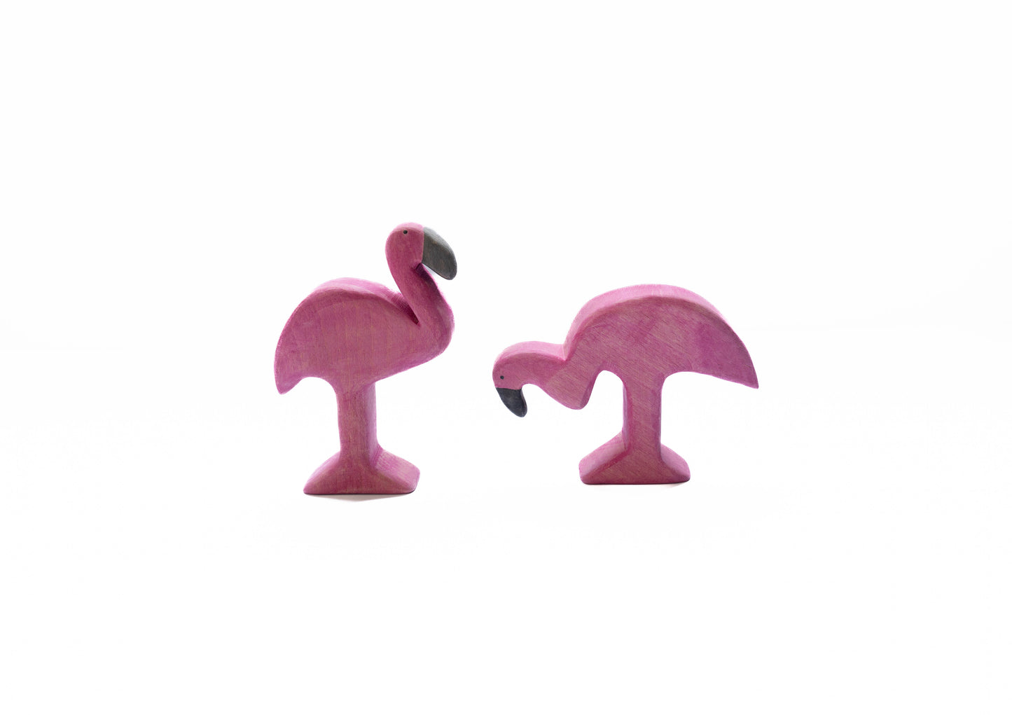 Flamingos