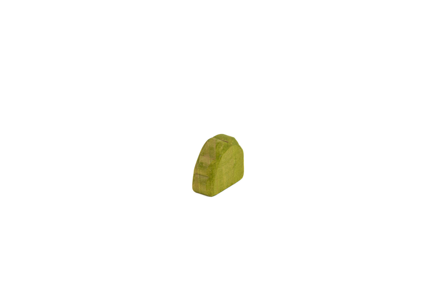 small green shrub