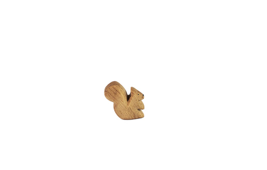 Eichhörnchen