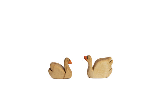Schwäne