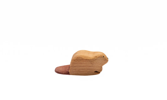 beaver