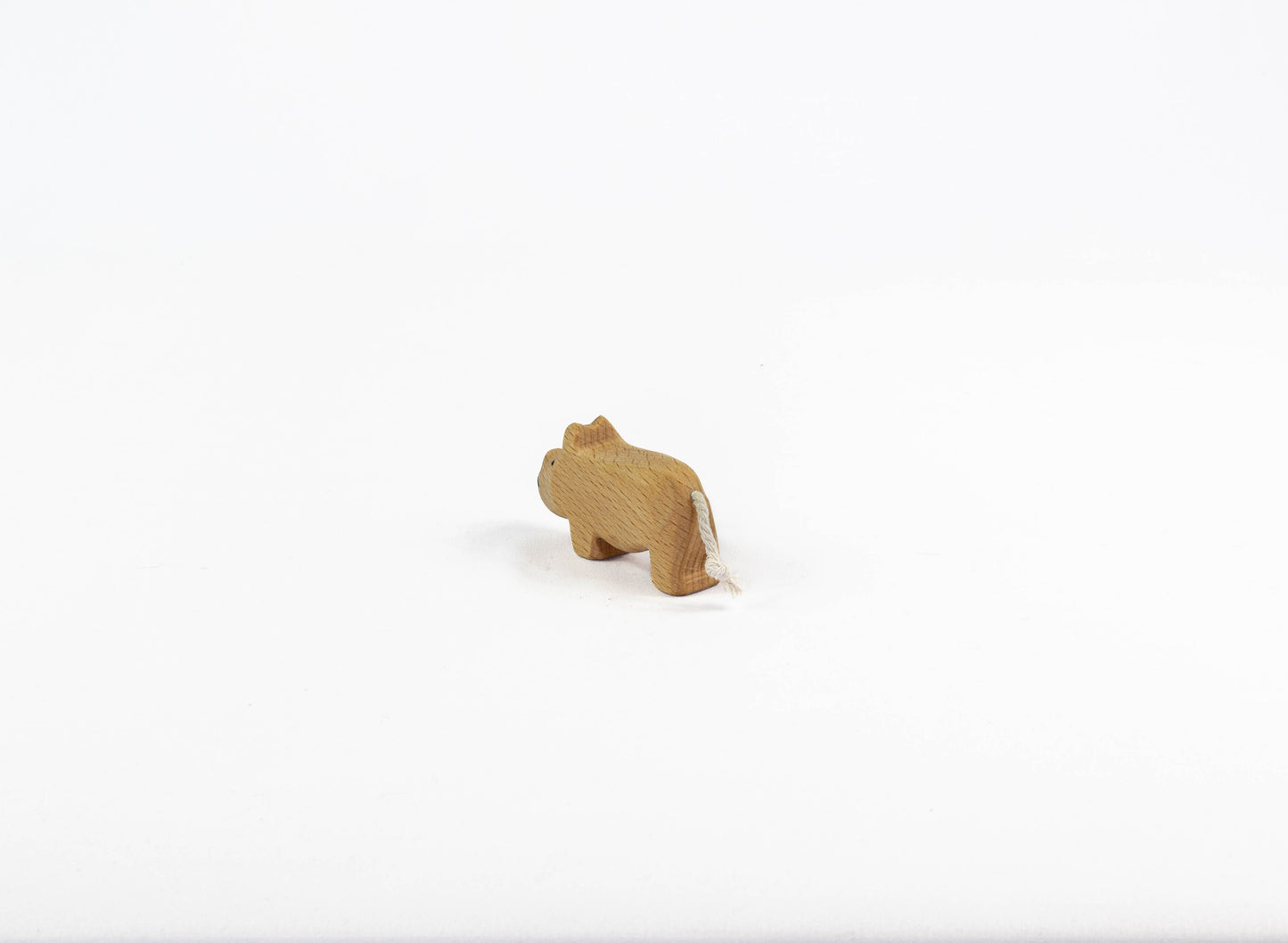 kleines Nashorn