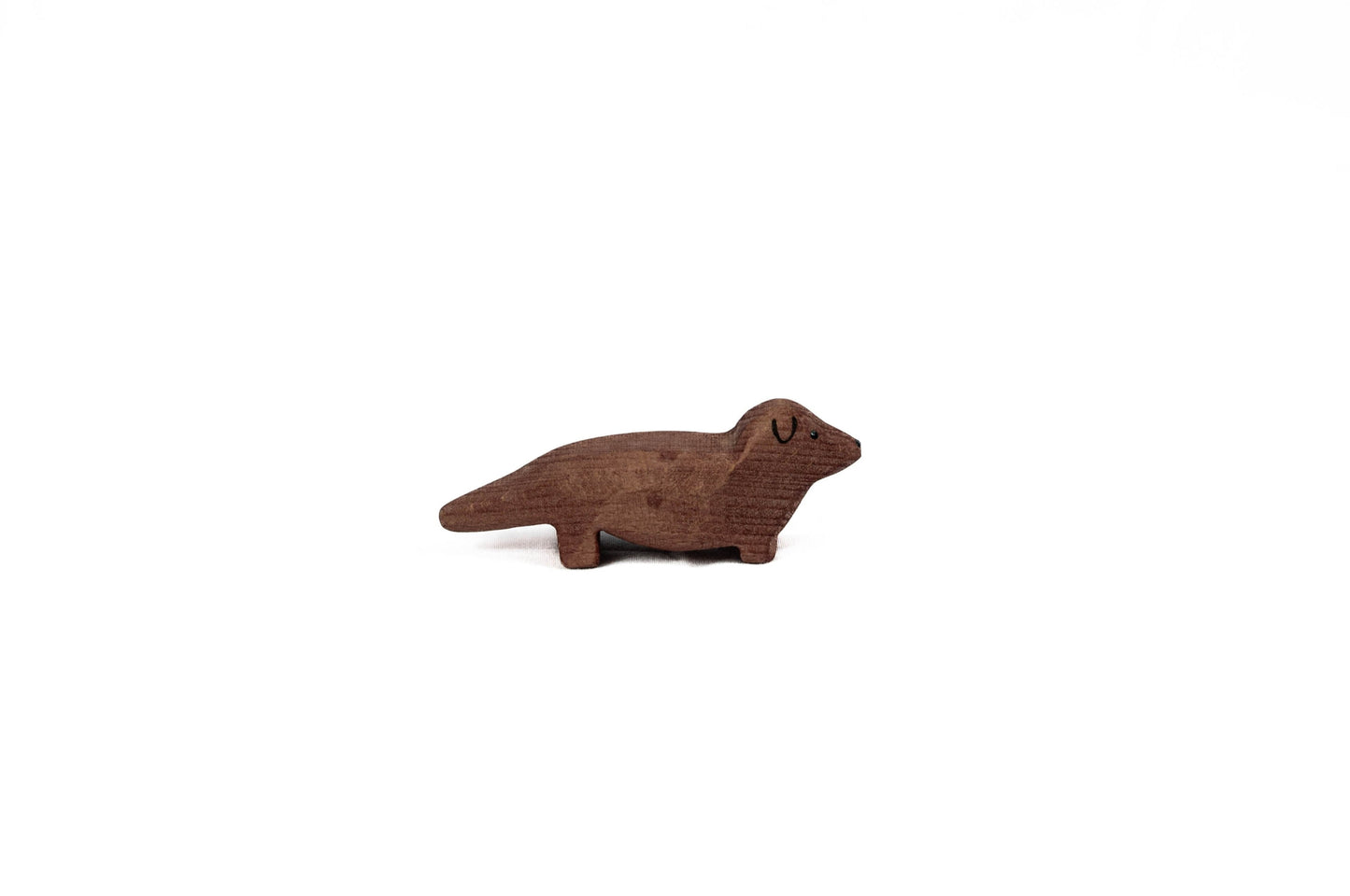 dachshund
