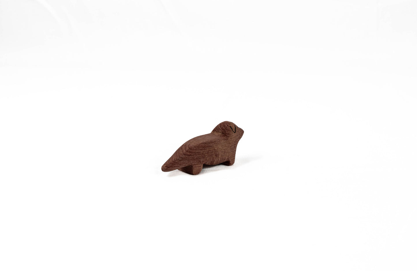 dachshund
