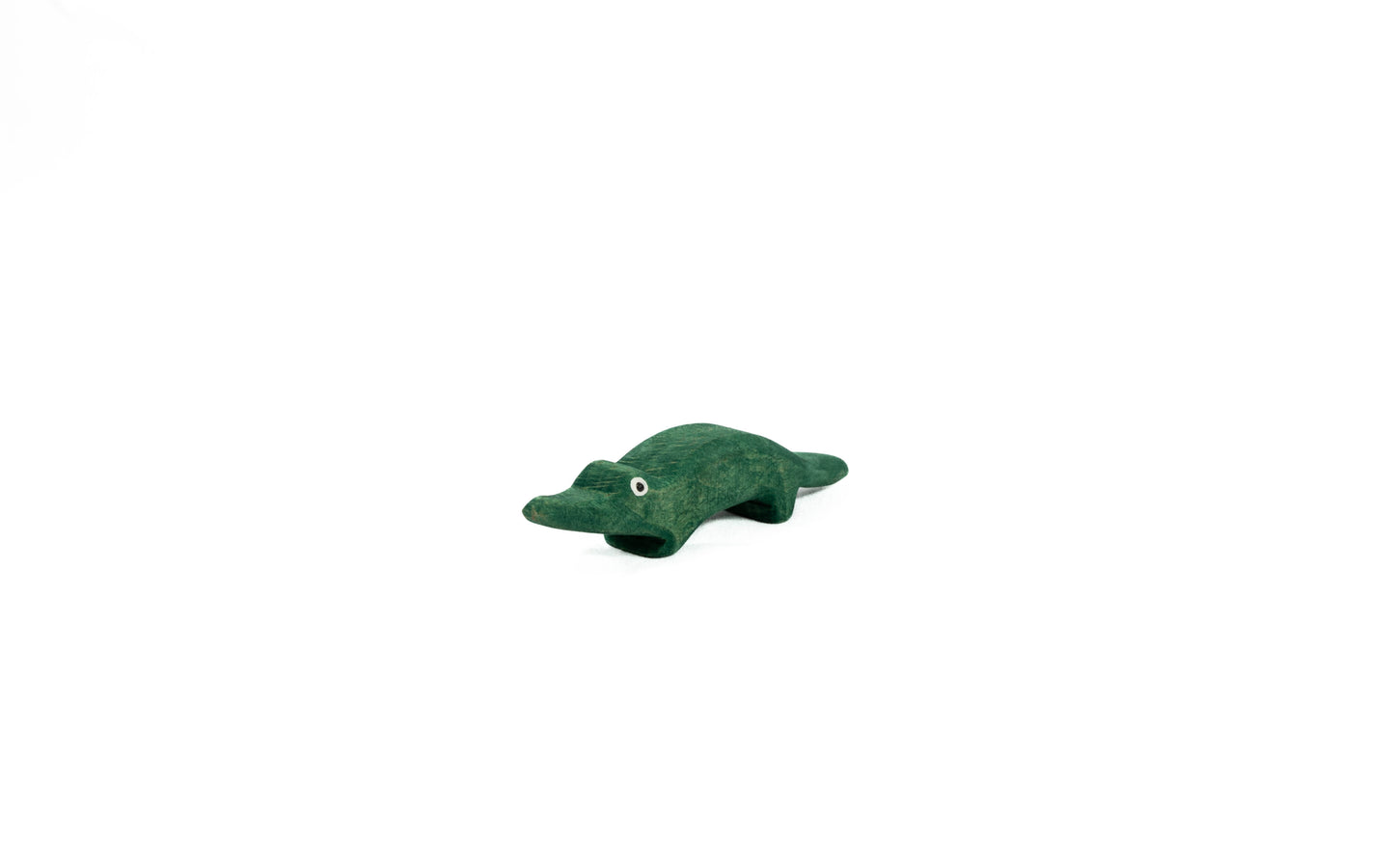 small crocodile