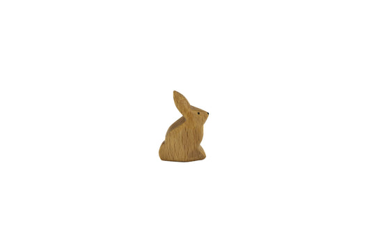 Hase