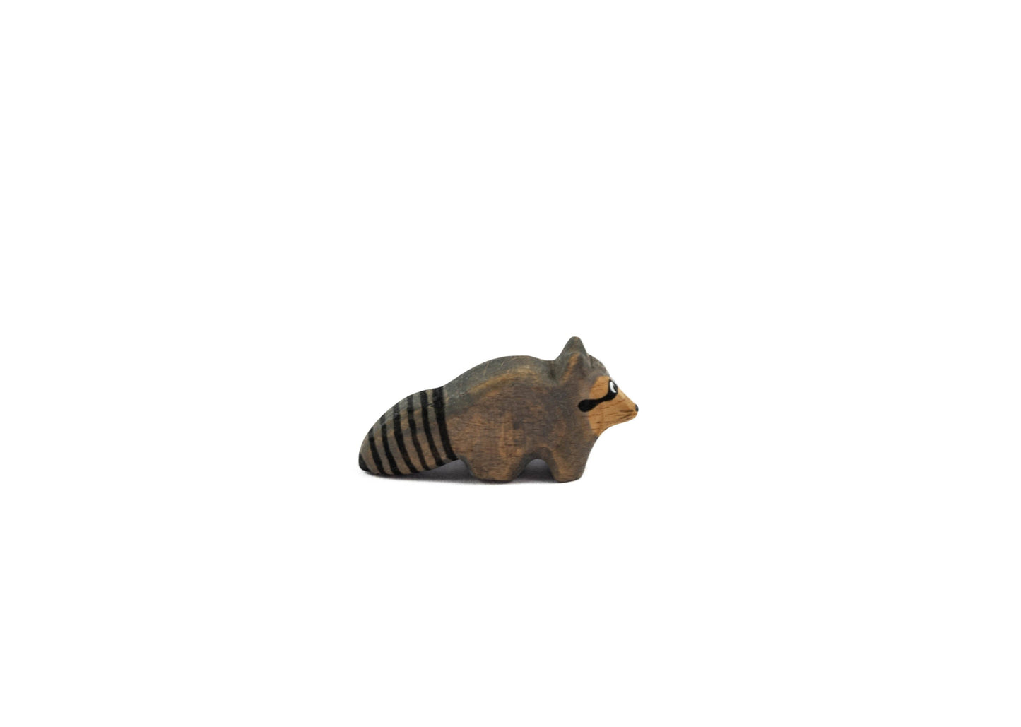 Waschbär