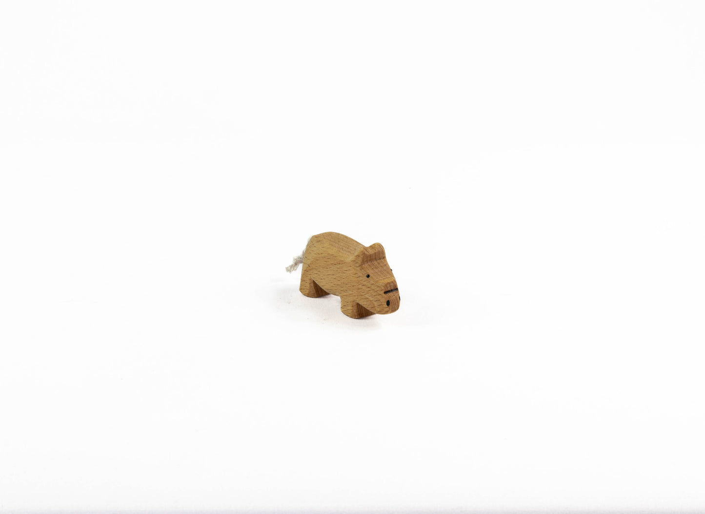 kleines Nashorn