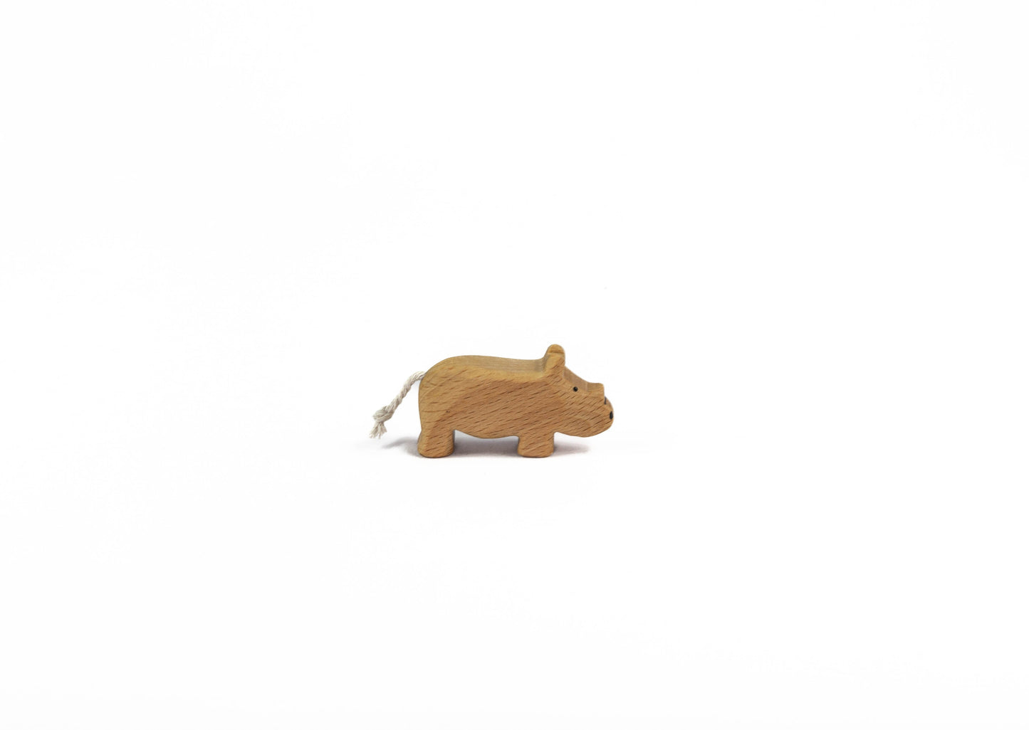 kleines Nashorn